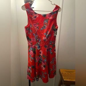 Summer/Spring Woman’s Dress